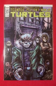 Teenage Mutant Ninja Turtles #104 Kevin  Eastman Variant (2020) vf/nm