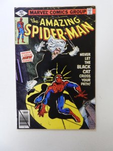 The Amazing Spider-Man #194 (1979) 1st Black Cat VF- condition