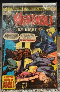 Werewolf by Night #29 (1975)