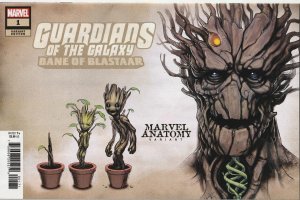 Guardians Of The Galaxy:Bane Of Blastaar # 1 Anatomy Variant NM Marvel [K1]