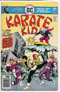 Karate Kid #2 (1976) Karate Kid