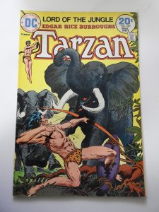 Edgar Rice Burroughs' Tarzan #229 (1974)