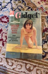 Gidget #2 (1961) Sally Fields TV Show beauty photo cover wow!