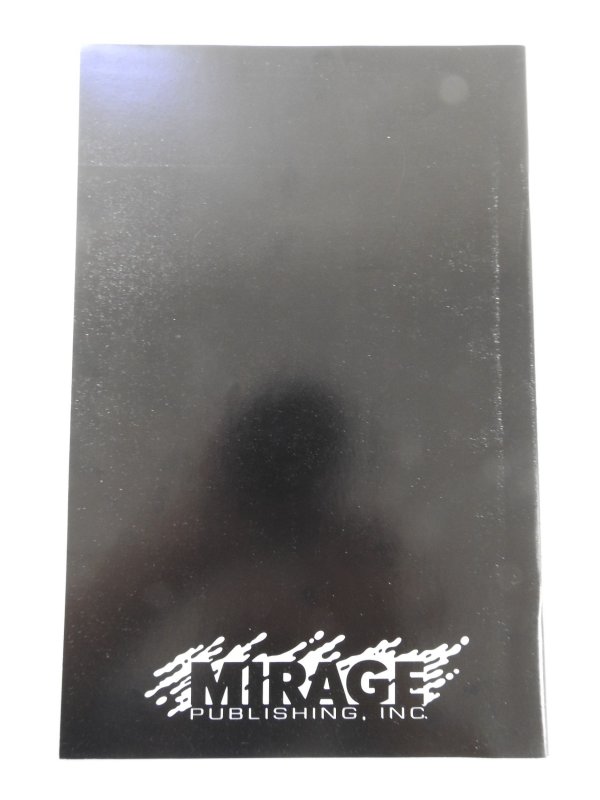 Teenage Mutant Ninja Turtles #38 (1991) VF Condition!