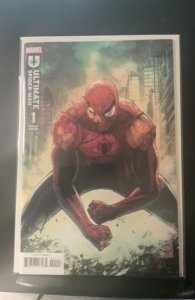 Ultimate Spider-Man #1 Daniel Cover (2024)