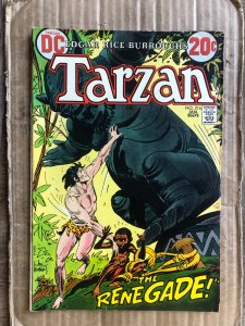 Edgar Rice Burroughs' Tarzan #216 (1973)
