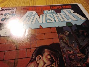 The Punisher #2 (1986)