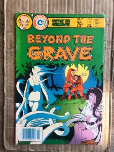 Beyond the Grave #17 (1984)