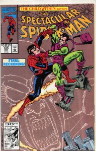 The Spectacular Spider-Man #183 (1991) Spider-Man