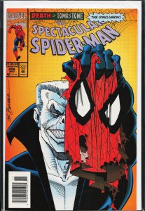 The Spectacular Spider-Man #206 (1993) Spider-Man