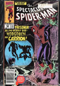 The Spectacular Spider-Man #163 (1990) Spider-Man