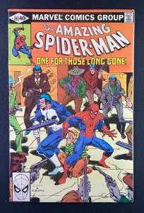 Amazing Spider-Man (1963) #202 VF (8.0) Punisher