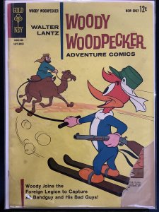 Walter Lantz Woody Woodpecker #77