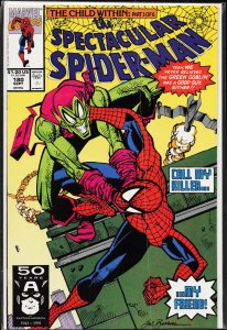 The Spectacular Spider-Man #180 (1991) Spider-Man