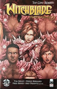 Witchblade #153 Variant Cover (2012)