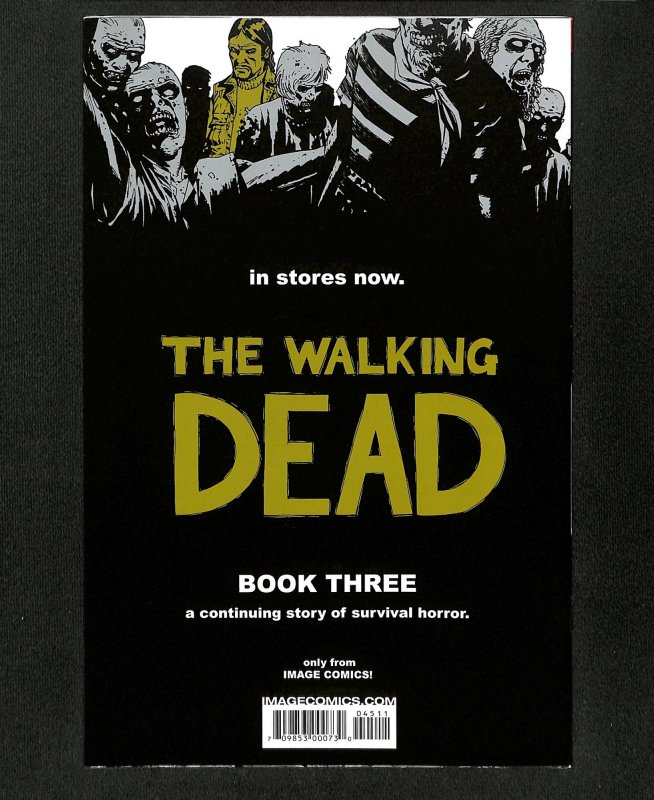 Walking Dead #45