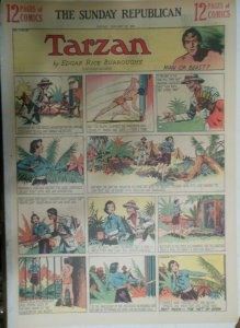 (53) Tarzan Sunday Pages by Burne Hogarth from 1939 Complete Year !  Full Pages