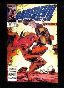 Daredevil #249