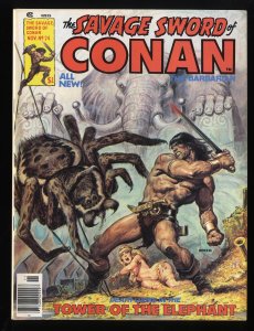 Savage Sword of Conan #24 VF/NM 9.0