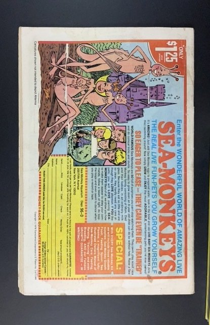 Mickey Mouse #196 (1979)