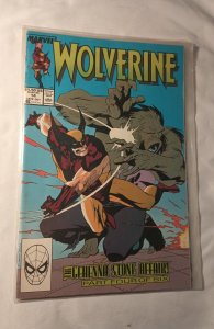 Wolverine #14 (1989)
