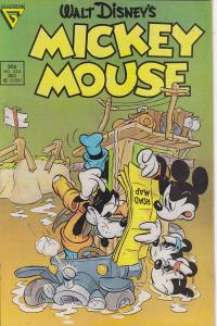 Mickey Mouse #243
