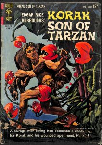 Korak, Son of Tarzan #5 (1964)