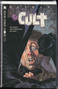 Batman: The Cult #3 (1988) Batman