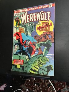 Werewolf by Night #15  (1974) High-grade Dracula key! VF- Ploog Art! Origin!