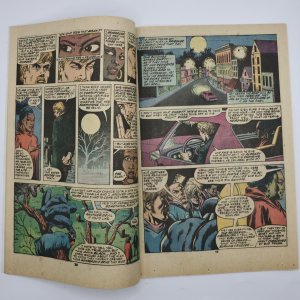 Jungle Action #19 (1976)