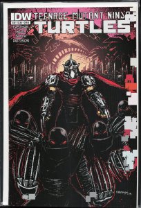 Teenage Mutant Ninja Turtles #42 Cover B (2015)