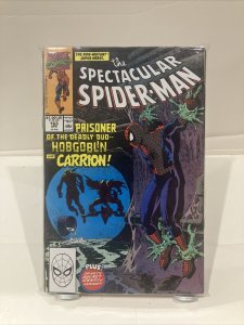 the spectacular spider-man 163
