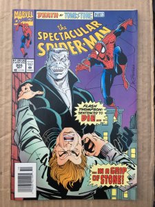 The Spectacular Spider-Man #205 (1993)