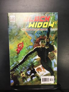 Black Widow: The Things They Say About Her #3 (2006) nm