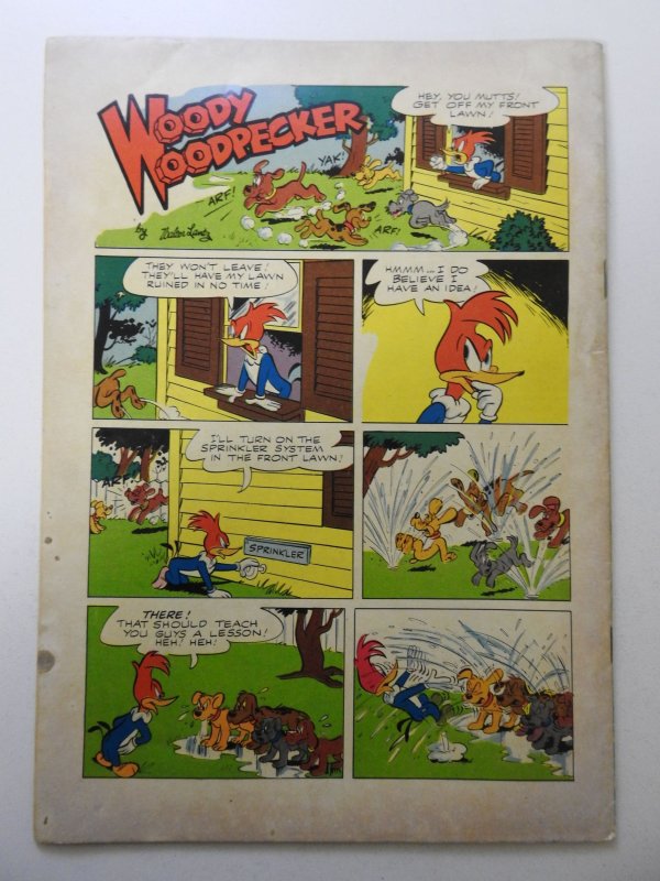 Woody Woodpecker #30 (1955) FN Condition!