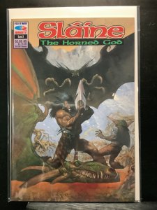 Slaine: The Horned God #3  (1993)