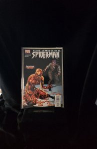 The Amazing Spider-Man #516 (2005)  