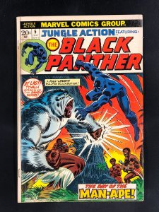 Jungle Action #5 (1973) Black Panther Stories Begin in Jungle Action Title