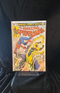 The Amazing Spider-Man #193 (1979) Spider-Man 