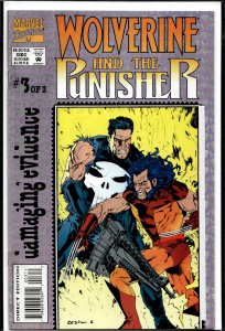 Wolverine and the Punisher: Damaging Evidence #3 (1993) Punisher