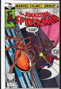 The Amazing Spider-Man #213 Direct Edition (1981) Spider-Man