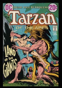 Tarzan of the Apes #211 VF 8.0
