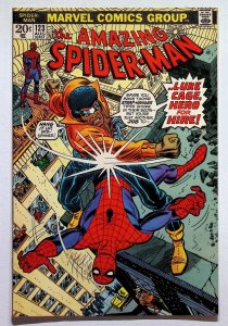 The Amazing Spider-Man #123 (1973)