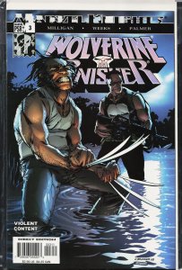 Wolverine/Punisher #3 (2004) Punisher