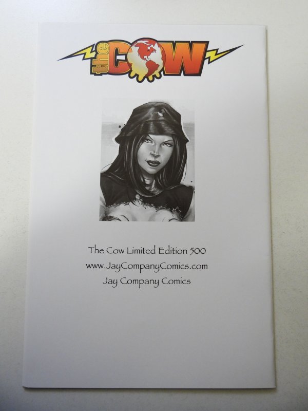 Witchblade #91 Jay Company Cover (2005) NM Condition w/coa