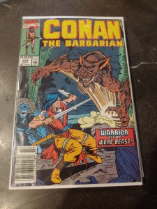 Conan the Barbarian #234 (1990)