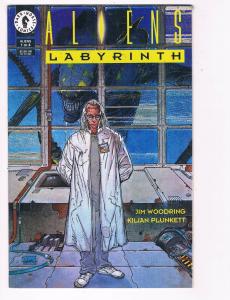 Aliens Labyrinth # 1 NM Dark Horse Comic Books Limited Series Predators B95