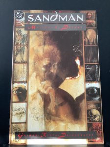 The Sandman #3 (1989)