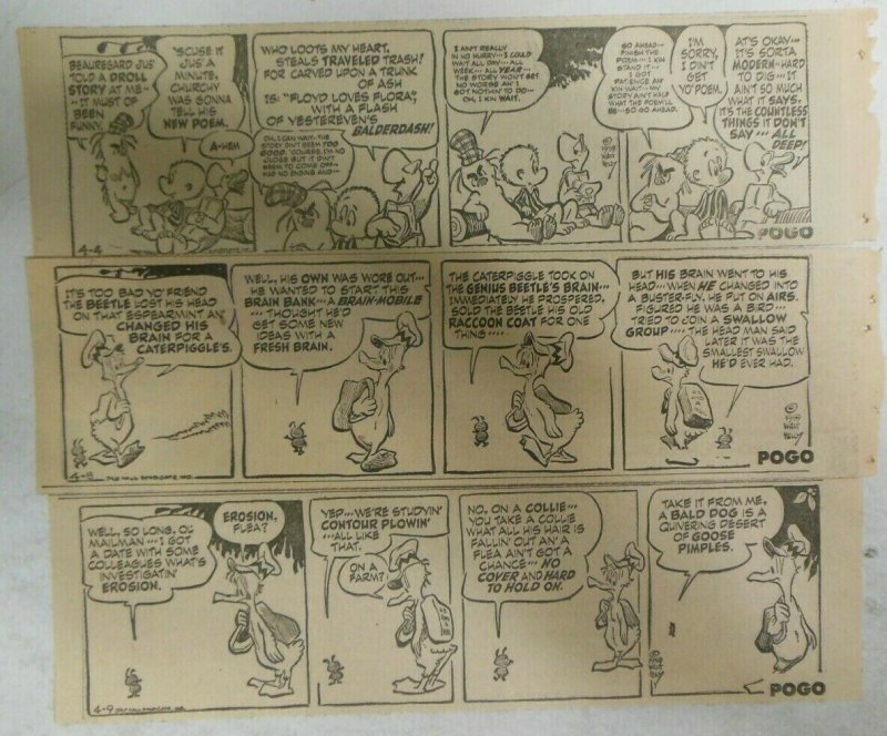 (25) Pogo Dailies by Walt Kelly from 4,1959 Size: 3 x 7 inches