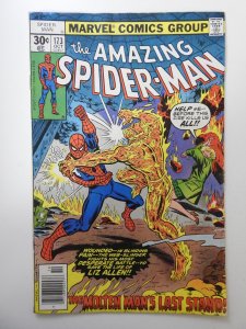 The Amazing Spider-Man #173 (1977) VG+ Condition!